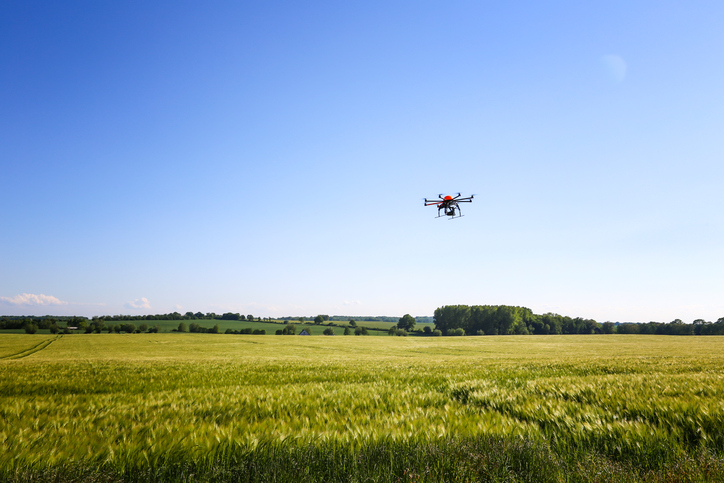 Innovations dans les industries alimentaires : impacts de la révolution numérique (Rapport)