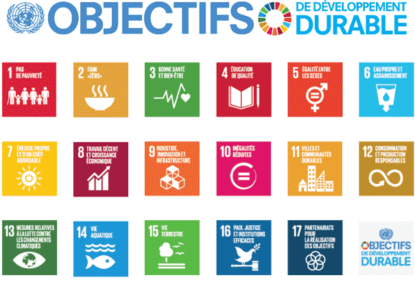 Les objectifs de développement durable (ODD), un référentiel pour l’analyse des politiques publiques