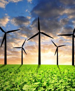 Dominique Vignon décrypte le sujet des éoliennes sur Futura Sciences