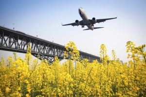 What is the future for aeronautical bio-fuels?