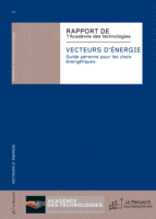 Energy vectors: Permanent guide-lines for future energy procurement decisions. Ed. Le Manuscrit, Paris, 2012