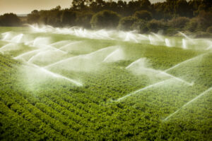 L’eau, enjeu pour la sécurité alimentaire mondiale