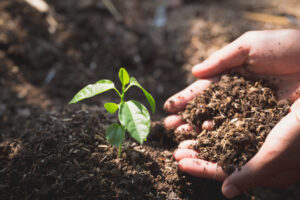 Érosion de la biodiversité : quelques exemples de prise en compte par les acteurs économiques