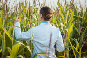 Avis sur les nouvelles technologies génomiques appliquées aux plantes