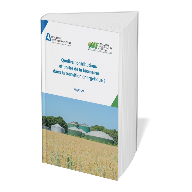 Image du rapport sur la biomasse